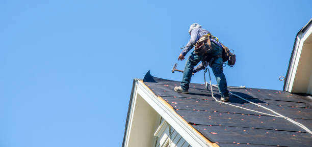 Best Storm Damage Roof Repair  in Stanford, KY